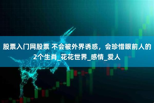 股票入门网股票 不会被外界诱惑，会珍惜眼前人的2个生肖_花花世界_感情_爱人
