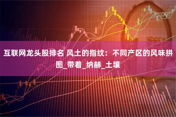 互联网龙头股排名 风土的指纹：不同产区的风味拼图_带着_纳赫_土壤