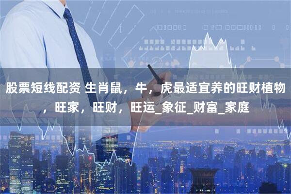 股票短线配资 生肖鼠，牛，虎最适宜养的旺财植物，旺家，旺财，旺运_象征_财富_家庭