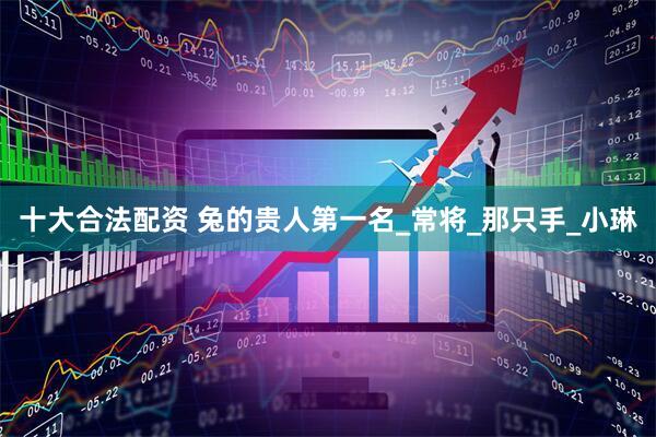 十大合法配资 兔的贵人第一名_常将_那只手_小琳